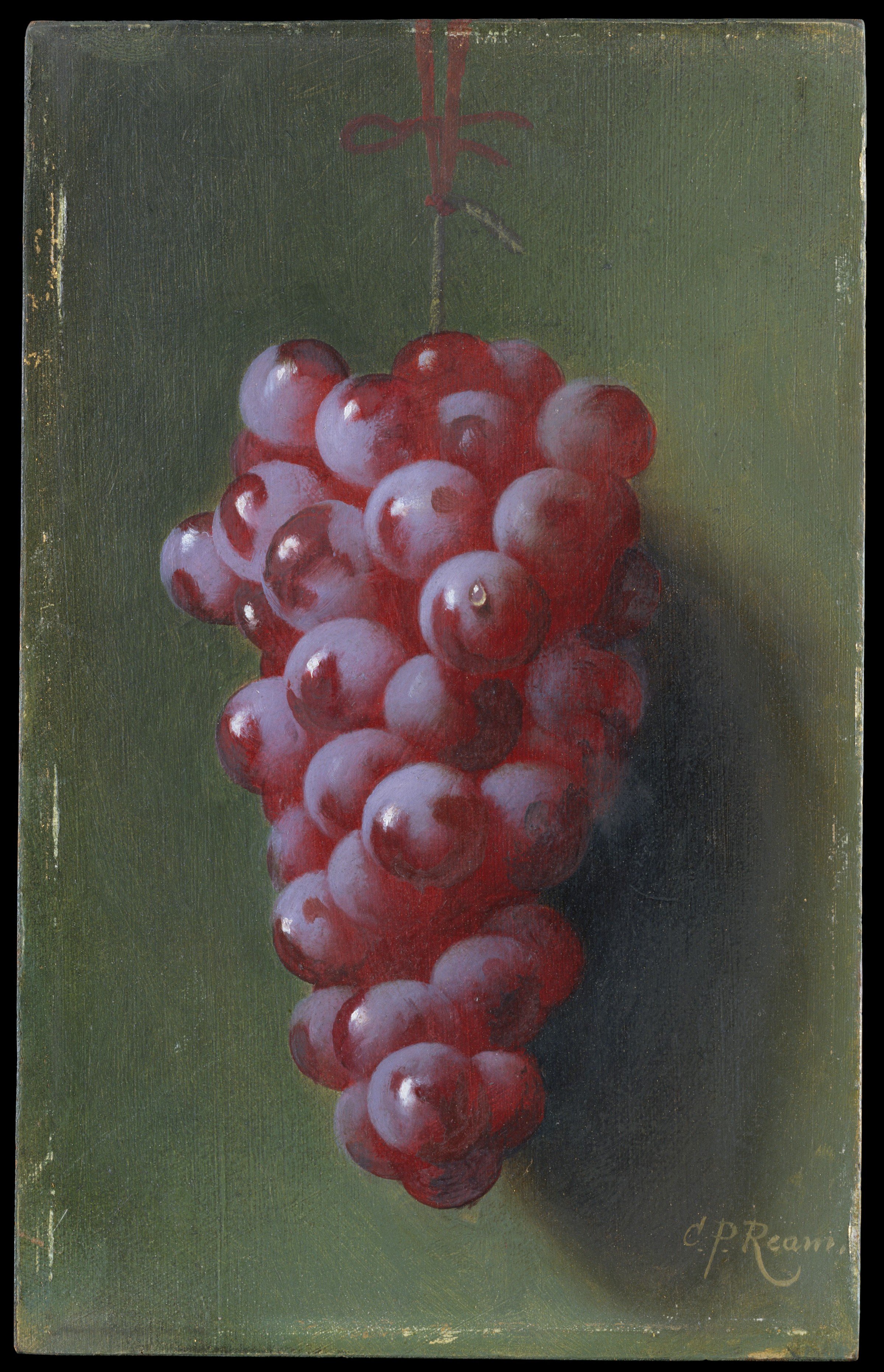 Still Life with Grapes